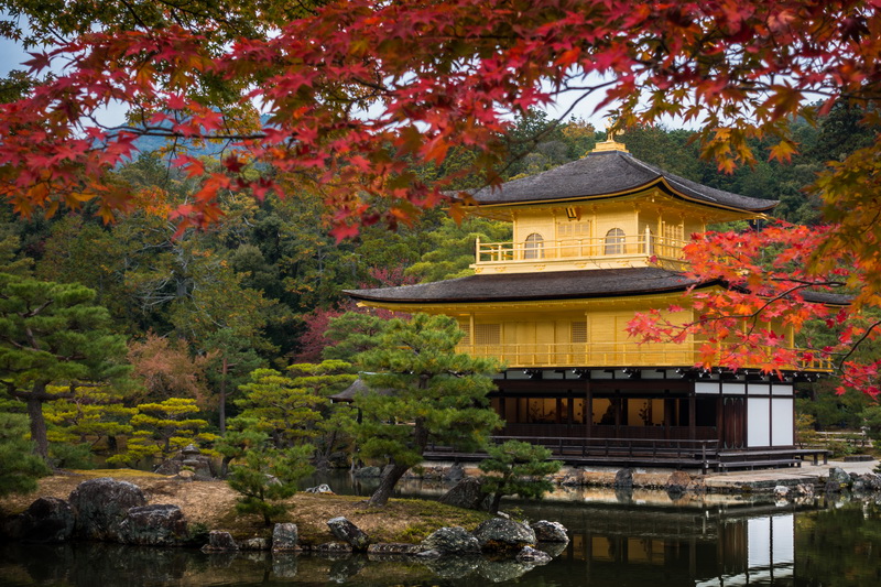 Nhật Bản: Tokyo - Núi Phú Sĩ- Kyoto- Osaka- Thưởng thức thịt bò Kobe Bay sáng Vietnam Airlines Mùa lá vàng lá đỏ